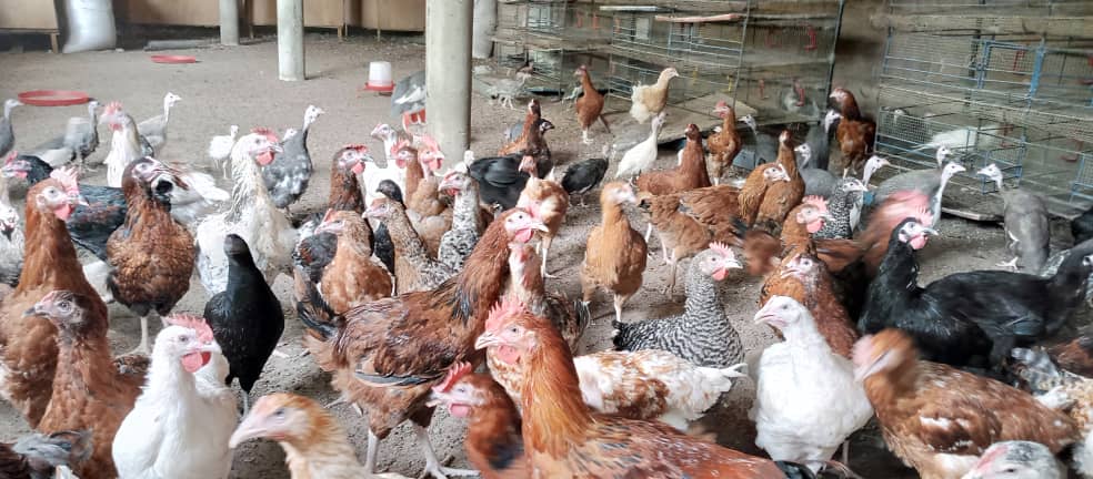 Image de la formation