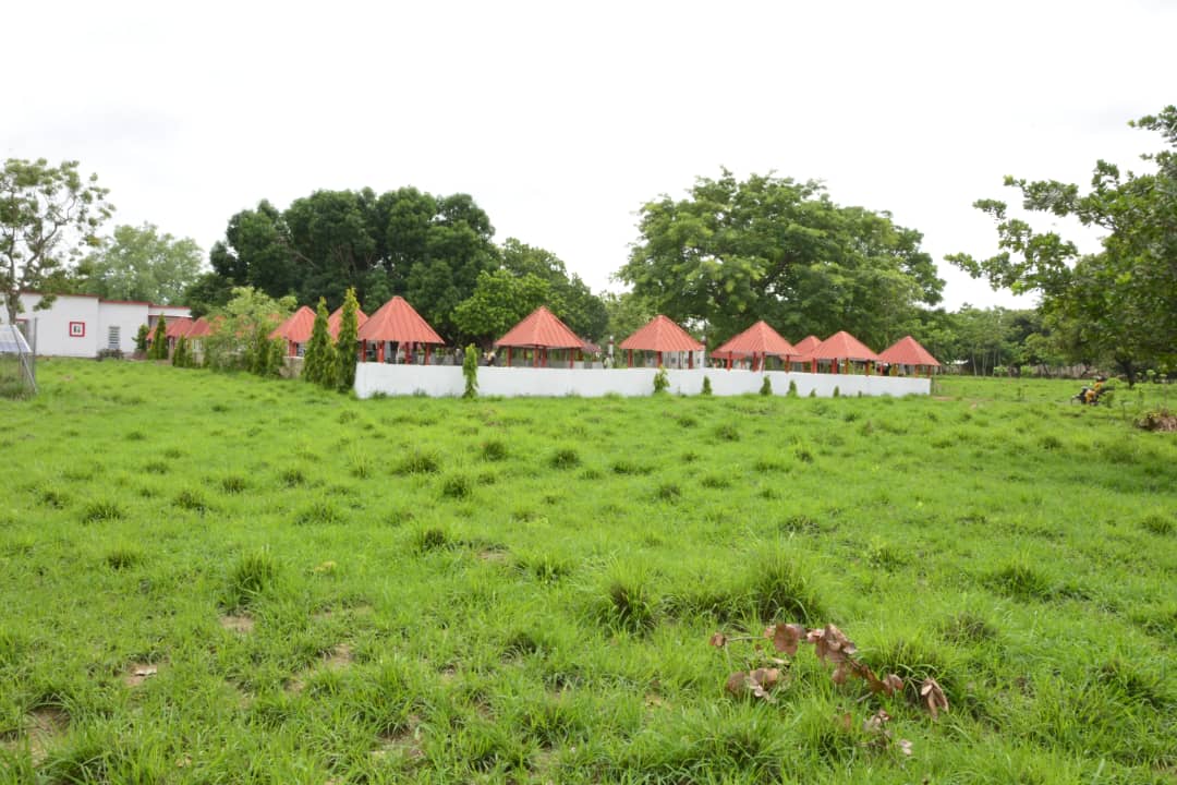 Image de la formation